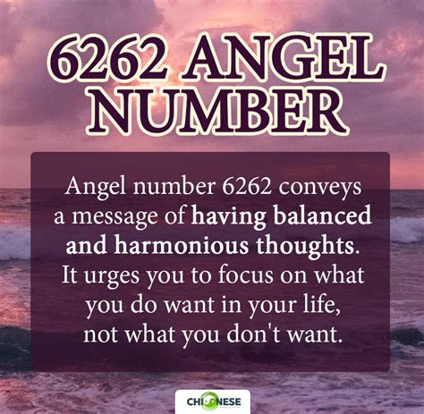 Meaning of Angel Number 6262 Explained by Joanne